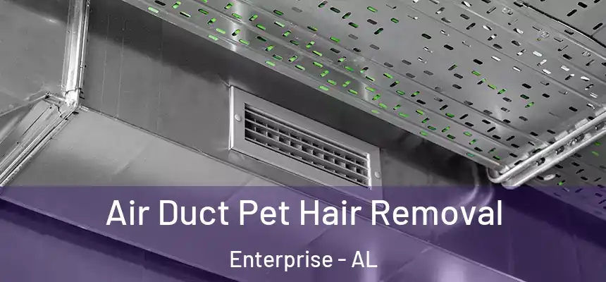 Air Duct Pet Hair Removal Enterprise - AL