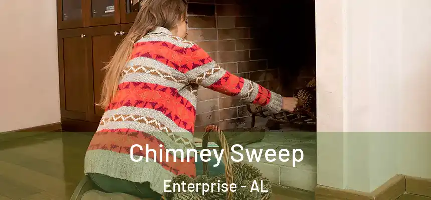 Chimney Sweep Enterprise - AL