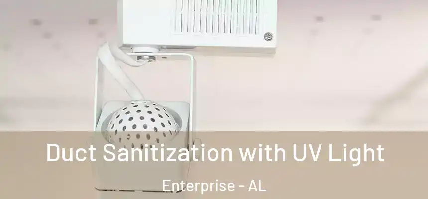  Duct Sanitization with UV Light Enterprise - AL