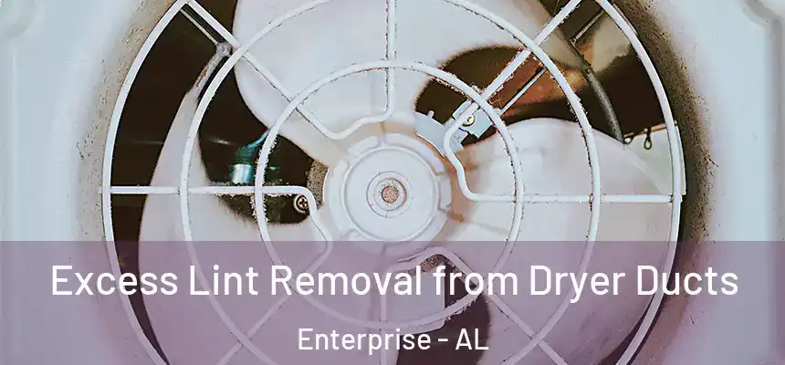  Excess Lint Removal from Dryer Ducts Enterprise - AL