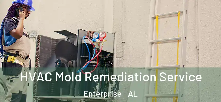  HVAC Mold Remediation Service Enterprise - AL