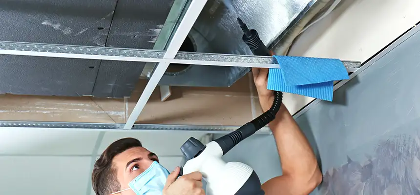 Our Air Duct Rodent Removal Services in Enterprise, AL
