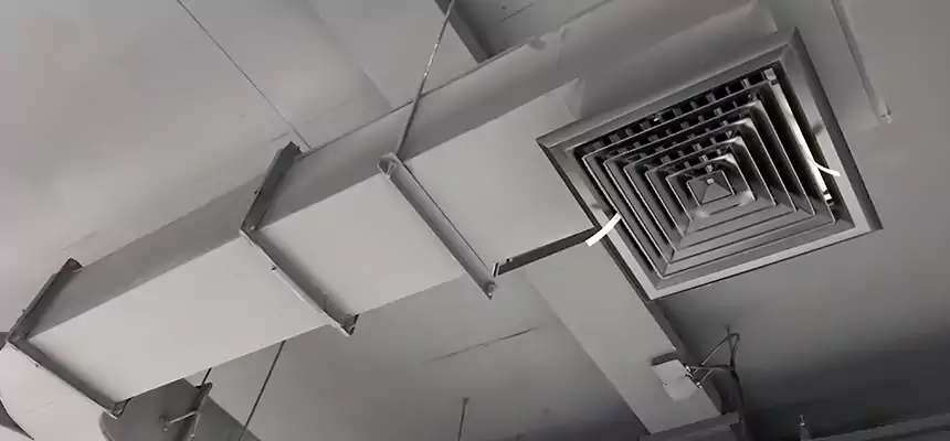 Restorative Allergy Relief Vent Cleaning – Coil, Blower & Housing Detail in Enterprise