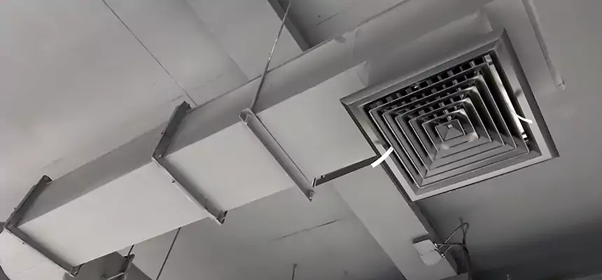 Our Pest Removal From Ducts Services in Enterprise, AL