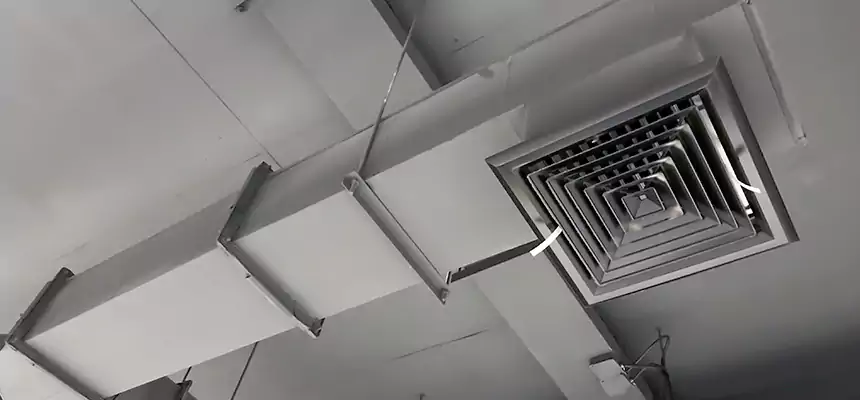 Our Rodent Droppings In Vents Services in Enterprise, AL