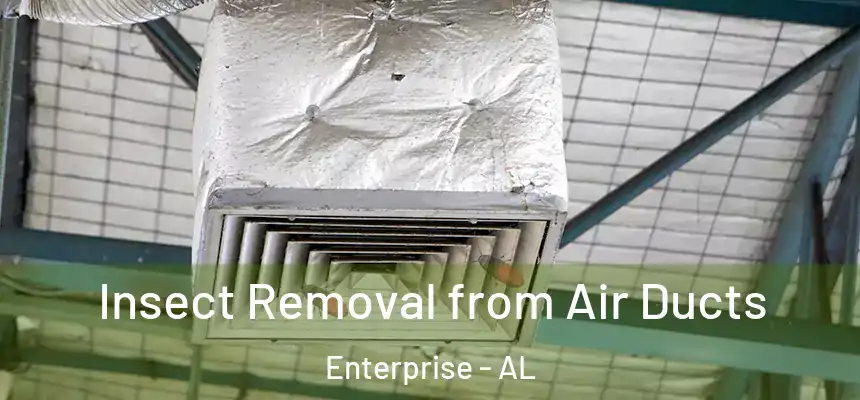  Insect Removal from Air Ducts Enterprise - AL