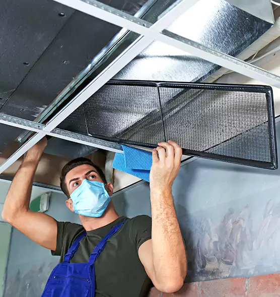About Air Duct Bacteria Removal in Enterprise