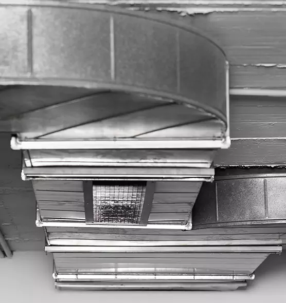 Professional Air Duct Pet Hair Removal in Enterprise, AL