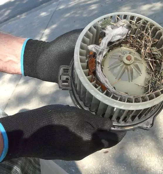 About Air Duct Rat Removal in Enterprise, AL