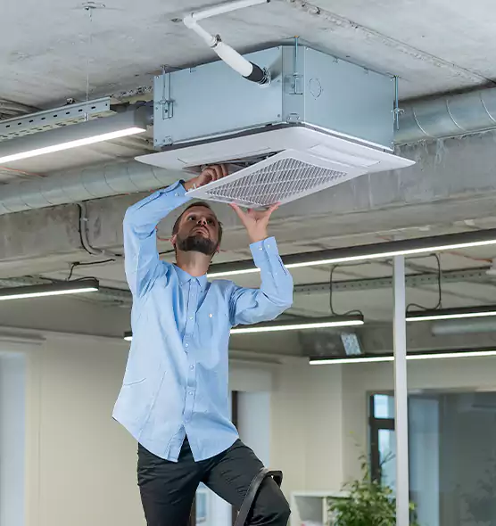 Advanced Rodent Droppings In Vents in Enterprise, AL
