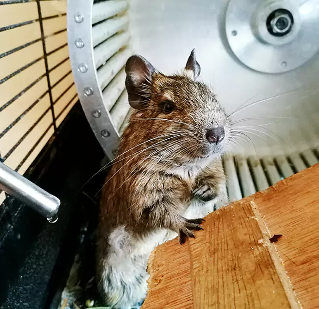 Why Homeowners & Businesses Trust Us Enterprise, AL